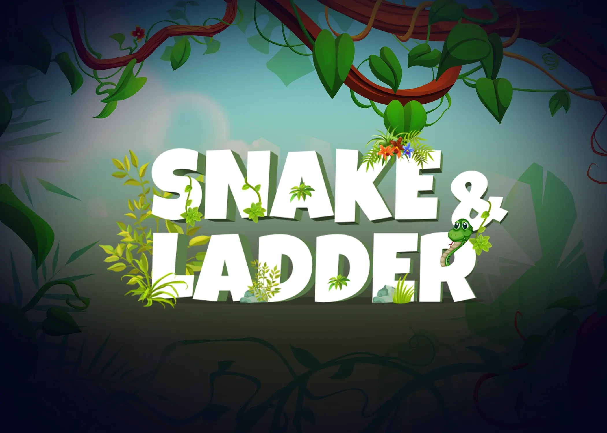 snake-ladder-cover